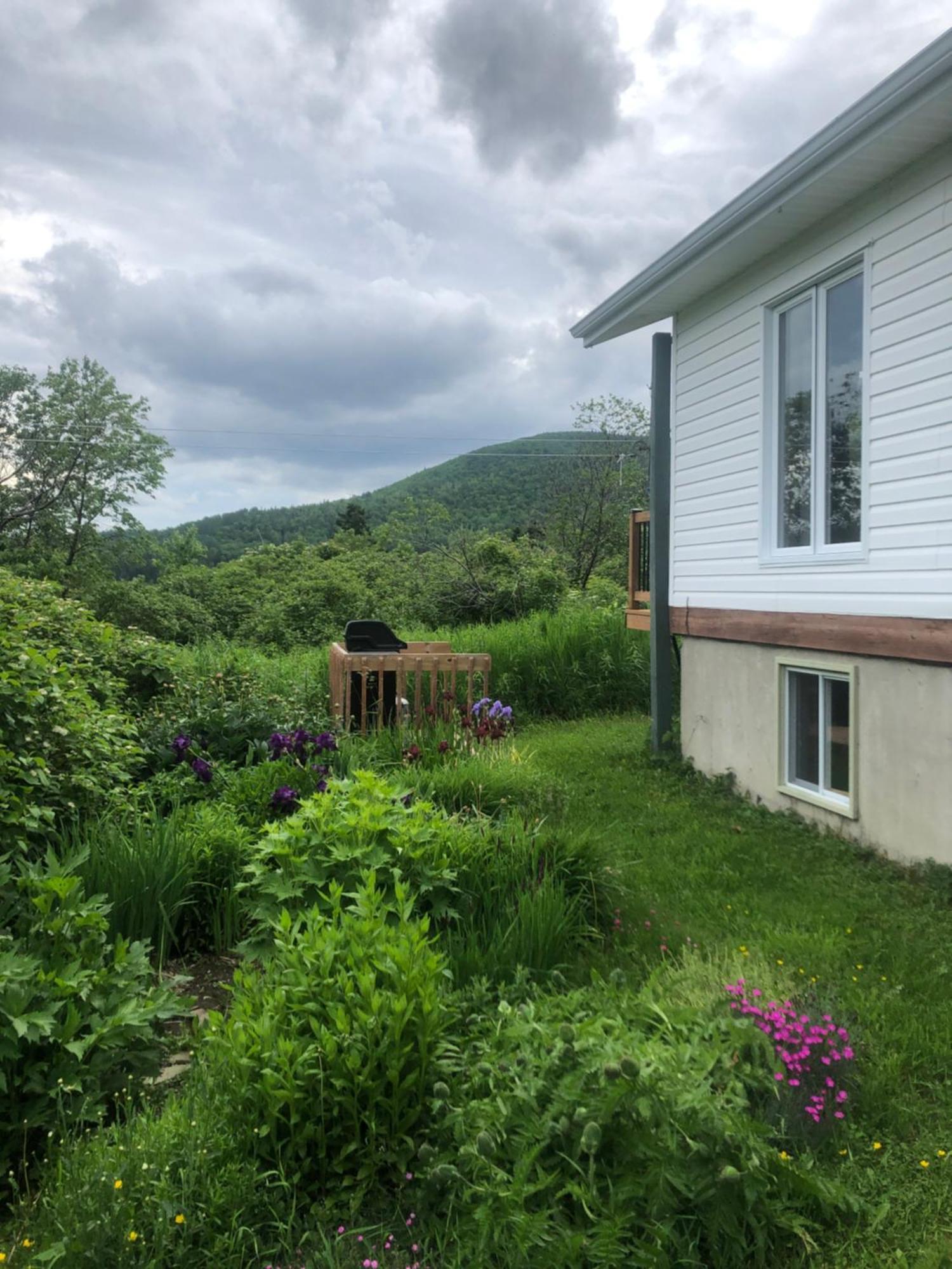 Chalets Les Chanterelles De Forillon L'Anse-au-Griffon Exterior photo